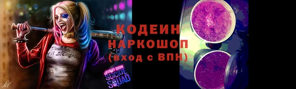хмурый Алзамай