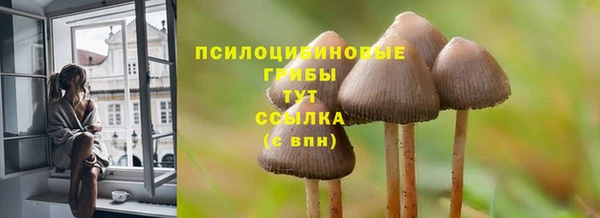 гидропоника Алексеевка