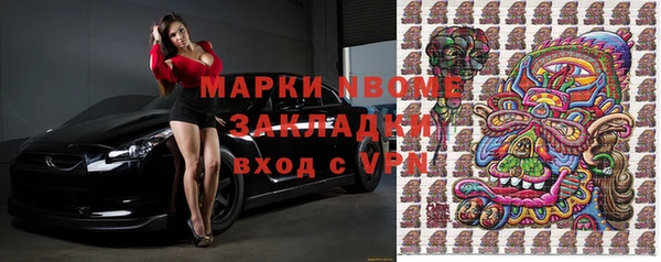 хмурый Алзамай